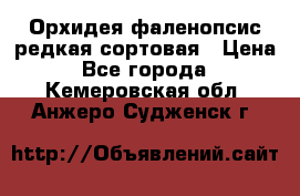 Орхидея фаленопсис редкая сортовая › Цена ­ 800 - Все города  »    . Кемеровская обл.,Анжеро-Судженск г.